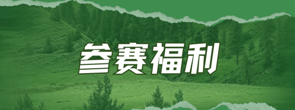 win007足球比分