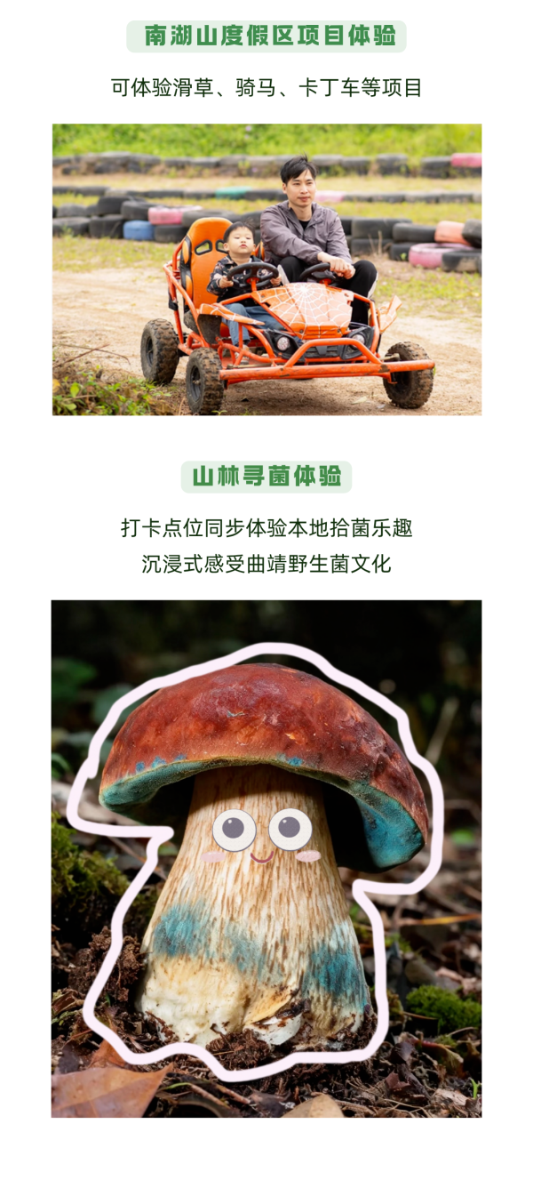 win007足球比分