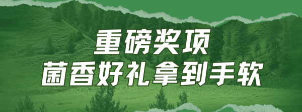 win007足球比分