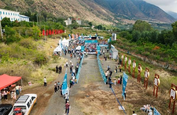 win007足球比分