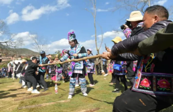 win007足球比分