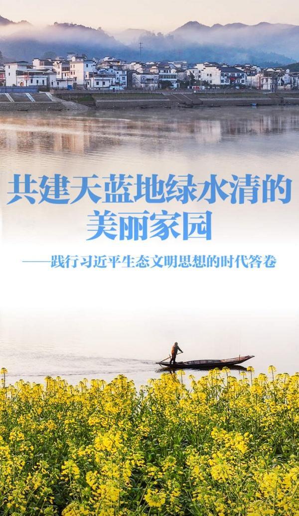 win007足球比分
