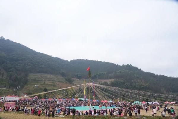 win007足球比分